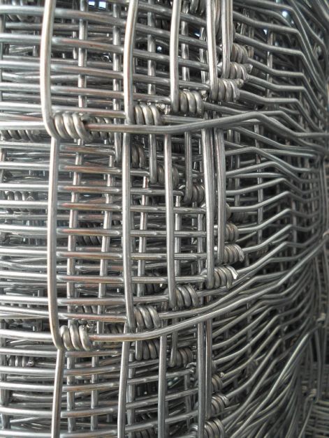 pillar_wire_thorned_tensioning_wire_12.jpg